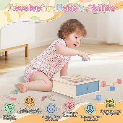 Montessori Toys for 2 3 4 5 Color Sorting - Wooden Object Permanence Box with Drawer Sensory Toys Shape Sorter Education for Baby Toddler Boy Girl Drop Busy Box 4 in 1