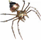 Mechanical Metal DIY 3D Insect Brass Puzzle (Jumping Spider)