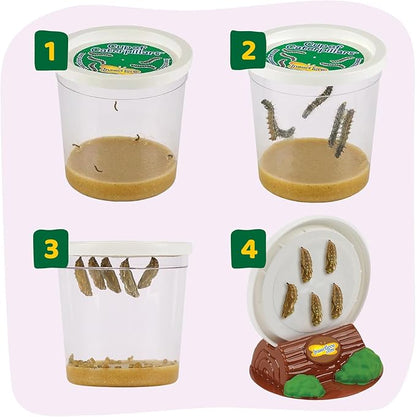 Insect Lore Butterfly Garden with Giant Birthday Card - 5 Live Baby Caterpillars, STEM Activity Journal, Habitat, Chrys-A-Lid Holder, Feeder - Raise and Release Painted Lady Butterflies