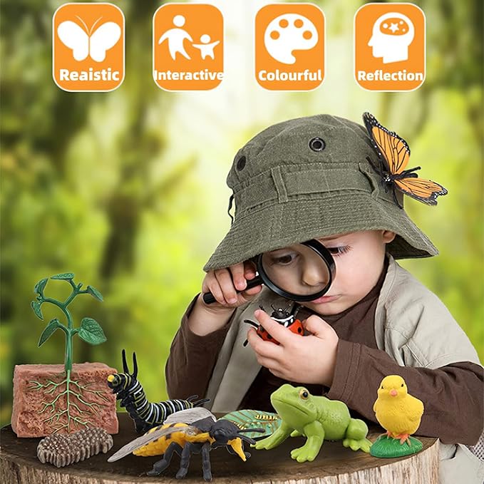 Montessori Chicken Life Cycle with Flash Cards, Realistic Animal Figurines Toy, Animal Educational Matching Game for 3+ Year Old Toddlers Kids (Cock)
