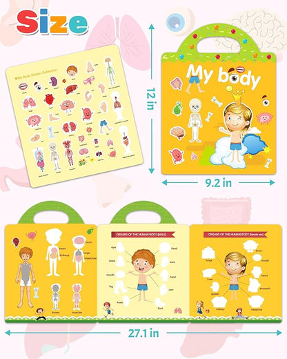 Benresive Reusable Sticker Book for Toddlers 2-4 Years, Fun Travel Stickers for Kids, Waterproof Sticker Books for Toddlers 1-3, Crafts Activities for Todddlers 1-3 2-4 3-5 - My Body