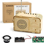 STEM Toys for Kids Age 8-14, Science Kits Educational DIY Radio Building Set - Wooden 3D Puzzle Electronics for 8-12 Year Olds