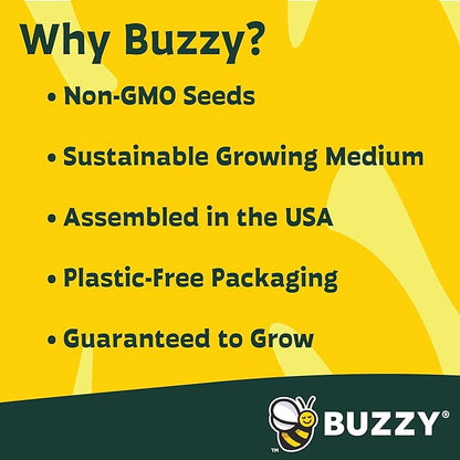 BUZZY Seeds Terracotta Mini Grow Pots | Flower Starter Kit for Kids & Adults | Assorted 12-Pack, Bright Series Collection, Daisy, Lavender, Mini Rose, Sunflower | Gardening Gift, Party Favors