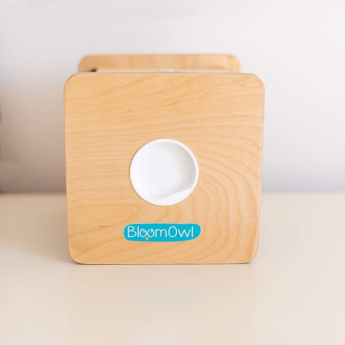 Wooden Piggy Bank for Kids and Adults, Personalized Gift Handmade in USA by BloomOwl, Custom Piggy Bank, Personalized Banks for Kids, Gifts for Baby Boys and Girls (Safari)