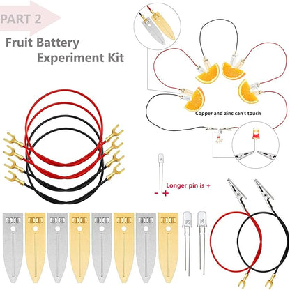 Delinx STEM Science Kit, Magnets Learning,Basic Circuit Learning,Fruit Battery Experiment,Green Alternative Energy Lab Kits, Physic Electricity Educational Project for Kids & Teens,Girls & Boys