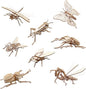ELX Wooden 3D Puzzles for Kids 6+, 8 Piece Set Insect Animal Models, Wood Building Kits DIY Wooden Crafts Stem Toys peresents for Kids and Adults