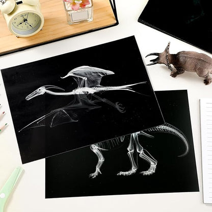 Chunful 20 Pcs Animal X-Ray Kit Wildlife X-Ray Flash Cards Educational Science Kit Light Table Toys Accessory, 11.7" x 8.3'' (Dinosaurs)