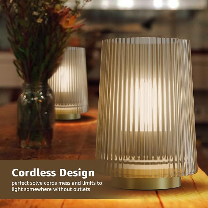 Dolita Battery Operated Glass Lamp, 2-Pack Small Table Lamps with Timer, Bedside Lights for Home Decor Living Room, Office, Bedroom