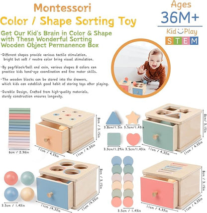 Montessori Toys for 2 3 4 5 Year Old - Wooden Object Permanence Box with Drawer Sensory Toys Shape Sorter Color Sorting Education for Baby Toddler Boy Girl Drop Busy Box (A-pegs)
