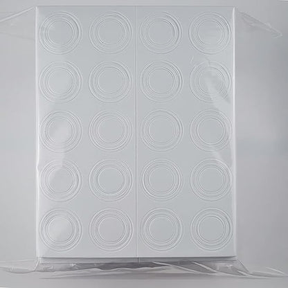 FRIMOONY 2 Pack 30mm Coin Capsules, with Foam Gasket and Plastic Storage Box, for Coin Collection