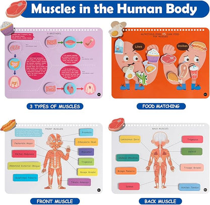 Freebear Montessori Busy Book for Kids, Human Body Anatomy Book for Toddlers, Preshool Kindergarten Learning Activities, Autism Sensory Toys, Gifts for Girls and Boys 4 5 6 7 Years - Human Body System