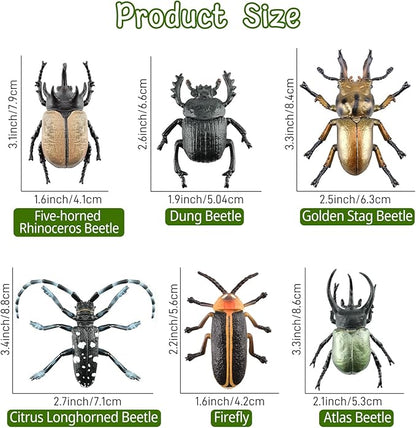 Toymany 12PCS Realistic Insects Figurines Toys - Plastic Bugs Figures Set with Cricket Bee Ant Dung Beetle, Educational Toy Cake Toppers Christmas Birthday Gift for Toddlers Kids