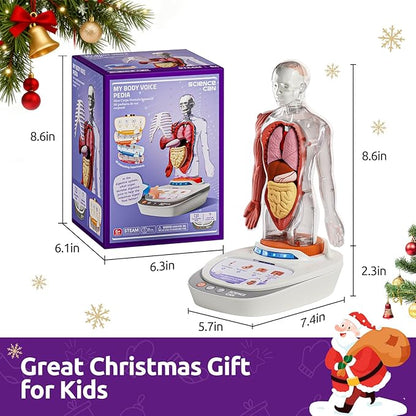 Science Can Human Body Model for Kids, Interactive Human Anatomy Talking Model - 11 Inch Realistic Anatomical Assembly Kit, 15PCS Removable Parts & Guide, Educational STEM Toys Gifts for Kids Aged 6+