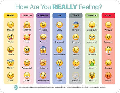 Circle Up Emoji Emotions Chart 10-Pack – 8.5x11 Laminated SEL Tool for Emotional Check-Ins & Conversations – Double-Sided Feelings Chart for Counselors, Educators, Therapists & Social Workers (5 Emoji & 5 Feeling Wheel)