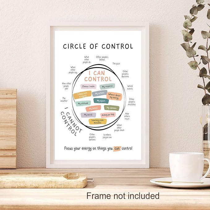Circle Of Control Poster What I Can And Cannot Control Therapy Office Wall Art Kids Mental Health Poster Calm Down Corner School Decor 24x36in Unframed
