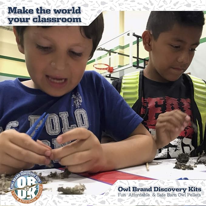 OBDK Barn Owl Pellets for Dissection - 1 Pack Jumbo Sized (2.0"-Larger) with Tools and Charts from Owl Brand Discovery Kits