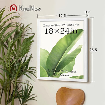 18x24 Poster Frame 2 Pack, White Solid Wood Picture Frame with Polished Plexiglass, Wall Hanging