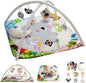 Baby Play Gym with 4 Developmental Zones – Tummy Time Mat & Activity Mat with 6 Sensory Toys, Visual Cards & Pillow – Baby Essentials & Ideal Gift for Newborns