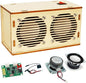DIY Bluetooth Speaker Kit, Stem Projects for Kids Ages 8-12, Science STEM Kits for Kids Ages 10-12-14-16, Gifts for 9 10 11 12 13 14 15 16 Year Old Boys Teens (Wood)