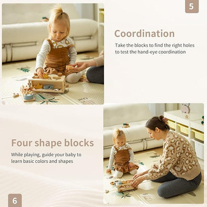 Shape Sorters for Toddlers 1-3, Wooden Toddler Toys, Montessori Toy Sorting & Stacking Toys, Shape & Color Recognition Educational Toys Learning Activities for Baby Boys Girls 1 2 3 Year Old