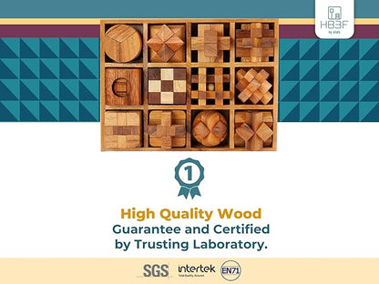 BSIRI Wooden Puzzle Box Set (12 Games) - Challenging Brain Teasers and 3D Puzzles for Adults, Interlocking Games for IQ Test, Ideal for Patio Decor and Unique Gift for Chistmas