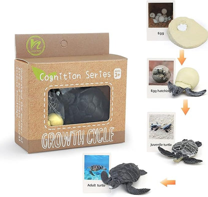 Montessori Life Cycle Animal Figures with Flash Cards, Realistic Animal Figurines Toy, Educational Matching Game for 3+ Year Old Toddlers Kids (Turtle)