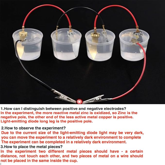 3 Sets Fruit Battery Science Experiment Kit for Home Teaching Toy, Orange Lemon Potato Battery Physics Teaching Experiment with Electronic Clock Educational Toy for Students