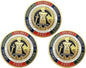 Armor of God Challenge Coin Collector's Medallion (Pack of 3)