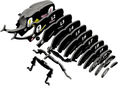 Eugy Rhino Beetle 3D Puzzle - 34 Piece Eco-Friendly Educational Toy Puzzle for Boys, Girls & Kids Ages 6+