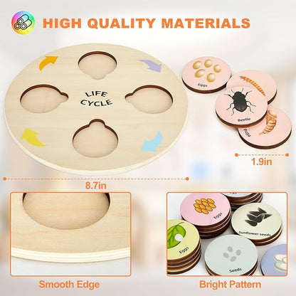 Life Cycle Toys for Kids Educational Science Kits, Montessori Toys for 3 4 5 6+ Years Old, Preschool Science Learning Easter Valentines Toys Gift for Toddler Boys & Girls