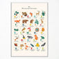 Alphabet Poster - Woodland Animal ABC Letters for Toddlers 1-3, Classroom & Nursery Wall Art, 12x16in Unframed