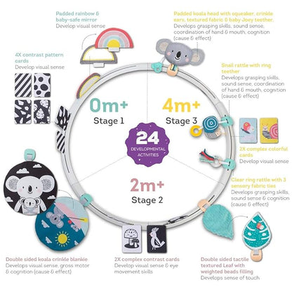 Taf Toys All Around Me Activity Hoop | Developmental Hoop, Prefect for Newborns and up, with 24 Developmental Activities. Designed to Promote Baby’s Senses, Motor Skills and Cognitive Development