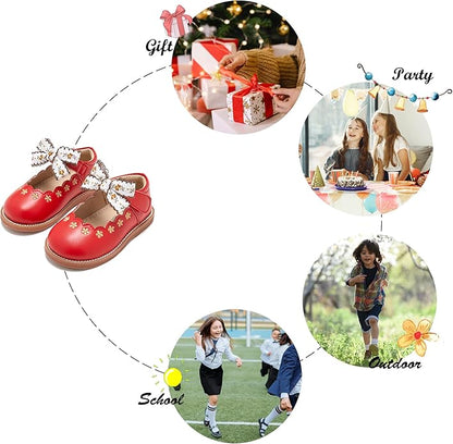 Felix & Flora Toddler Little Girl Mary Jane Dress Shoes - Ballet Flats for Girl Party School Shoes