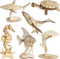 3D Wooden Sea Animal Puzzle - 6 Piece Set Wood Sea Animals Skeleton Assembly Model Kits - Wooden Crafts DIY Brain Teaser Puzzle - STEM Toys Gifts for Adults & Teens Birthday Gifts Christmas