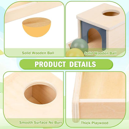 Adena Montessori Wooden Toy for 6-12 Month Baby 3 Balls,Sorting and Stacking Colorful Learning Education Toy for Toddler Kid 1-2 Year Old, Preschool Developmental Girl and Boy Gift