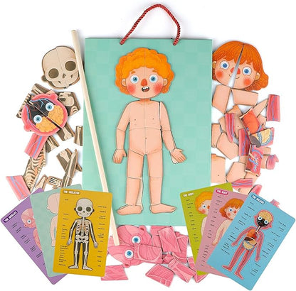 Human Body Puzzle for Kids Toddlers 90PCS Magnetic Boy Girl Anatomy Play Set Body Parts Organs Muscles Skeleton and Bones Wooden Puzzle Toys Aged 3+ Educational Learning Preschool Toys