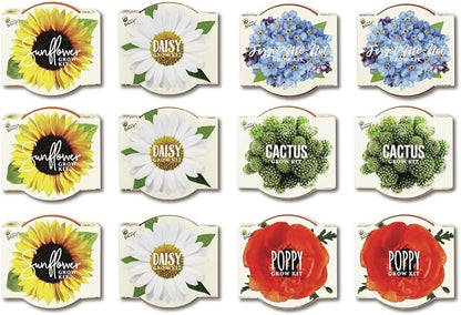 BUZZY Seeds Mini Terracotta Pots 12-Pack with Plant Seeds, Poppy, Sunflower, Daisy, Cactus and Forget Me Not, All-in-One Seed Starter Kit, Indoor Outdoor Gardening Gift, Wedding Favors