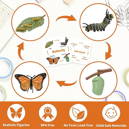 Montessori Animal Life Cycle Figurines, Plastic Miniature Educational Toys, 6 Count, Ages 3+