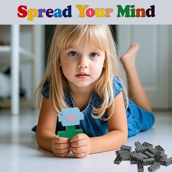 500 Piece Classic Building Bricks and 1 Gray Baseplate, 2x4 Bricks Bulk Creative Building Toys, Blocks Bulk for Kids Ages 6+, Dark Gray(Samll Bricks, 1.25x0.62x0.47 in)