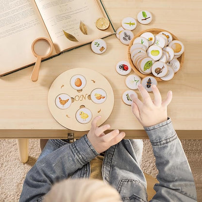 Wooden Life Cycle Tray for Kids - Frogs, Butterflies, Chickens, 40 Pieces - Preschool Learning Activities Puzzle Board, Toddlers Education Kit, Classroom Toys for Boys and Girls