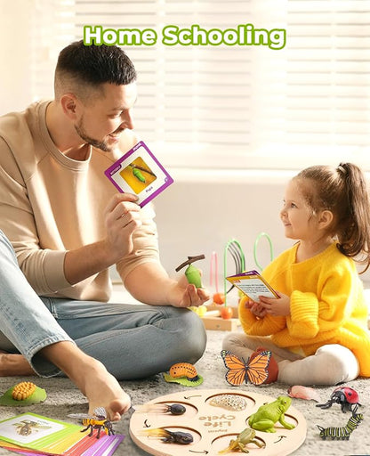 JoyCat Life Cycle Learning Education Toys, Insect Caterpillar to Butterfly kit, Ladybug, Bee, Tadpole to Frog Kit Life Cycle Toys for Kids, Preschool Learning Activities for Age 3 4 5 6 7 8