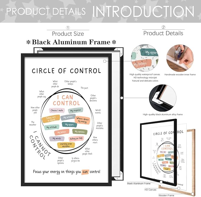 Circle Of Control Poster What I Can And Cannot Control Therapy Office Wall Art Kids Mental Health Poster Calm Down Corner School Decor 20x30in BlackFramed