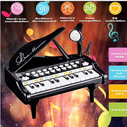 Love&Mini Toy Piano for Toddler - Birthday Gift for 1 2 3 4 Year Old Girls and Boys, 24 Keys Multi-Functional Baby Piano Toy with Microphone