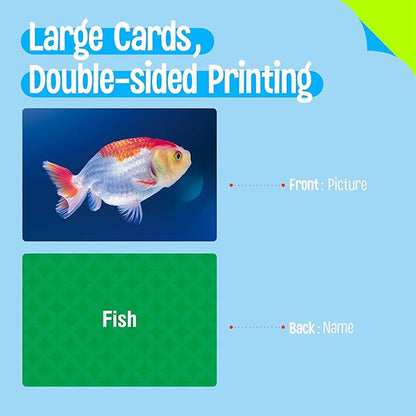 50 Noun Flashcards, Picture & Word Photo Cards Language Builder Visual Aid Language Learning Tool for Autism, ESL Teaching Materials for Adults, Non-Verbal Children Vocabulary Builder for Kids
