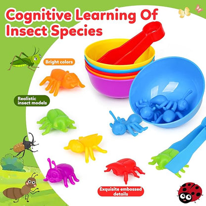Counting Insects Matching Toys with Sorting Bowls and Games Dice Montessori Preschool Educational Activities Learning Color Sorting Fine Motor Skills Sensory Toys Birthday Gifts for 3 4 5 Year Old