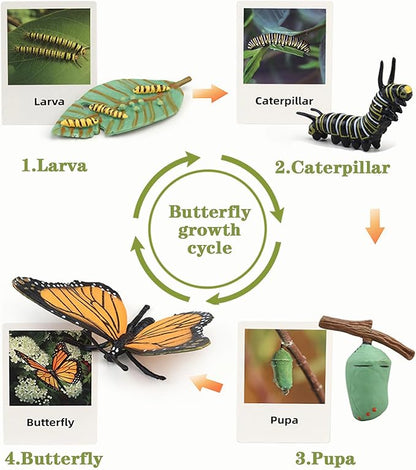 Mbrain Life Cycle Learning & Education Toys,Montessori Toys Figurines for Frog, Butterfly, Ladybug,Plants Kit,Gift for Girl & Boy for 3 4 5 Year Old