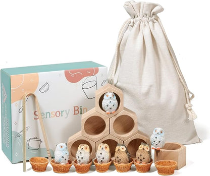 Sorting Stacking Wooden Toys for Toddlers, Owl Montessori Toys Toddler Sensory Bin Tool Toy, Wood Owl House Fine Motor Skill Toy Early Learning Preschool Educational Gift for Kids