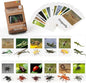 MEROCO Montessori Animal Match - Insect Animal Figurines with Matching Cards Language Montessori Materials Preschool Learning Toy NEWT008