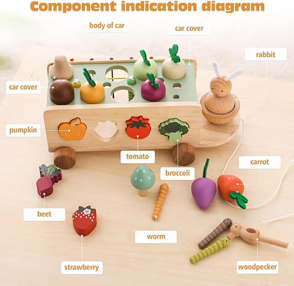 OESSUF Montessori Toys Toddlers Wooden Educational Toys for Baby Boys Girls, Shape Sorting & Matching Fine Motor Skills Toys, Birthday Gifts for Kids