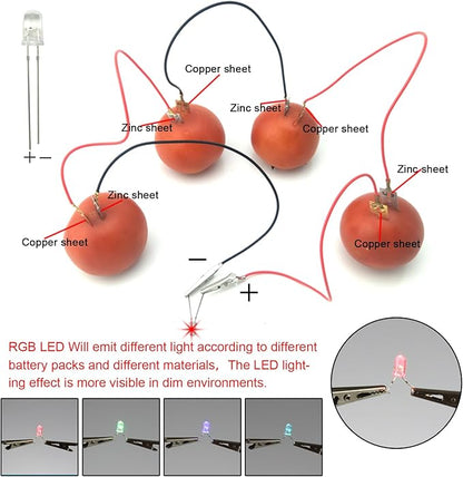EUDAX Fruit Battery Science Experiment Kit for DIY School Home Teaching Equipment, Orange Lemon Potato Electronic Clock Science Project Kit Physics Educational for Students Teachers (8 Set)